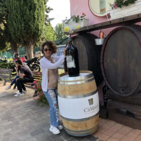 Fontana vini e olio Enoteca del Lugana Sirmione Lago di Garda - Brescia